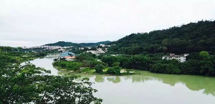 騰龍?jiān)?0周年2.webp.jpg 騰龍?jiān)?0周年2.webp.jpg