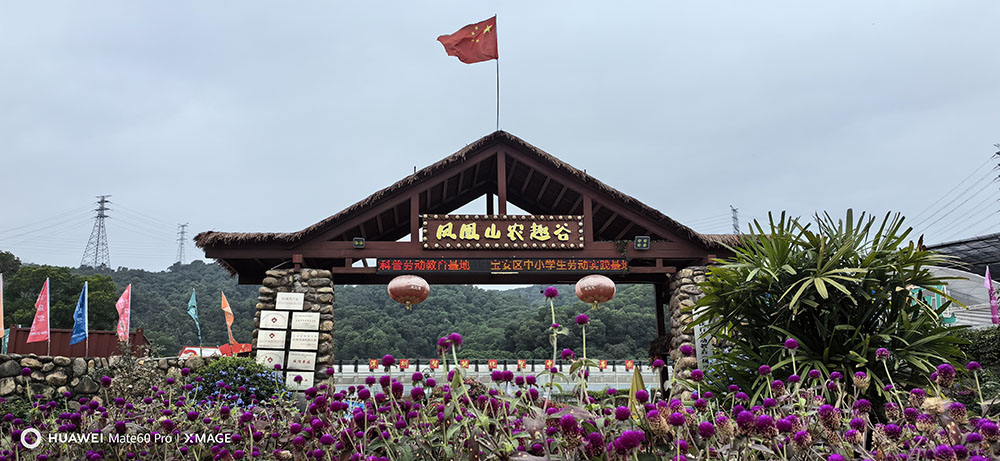 感受自然 共赴美好